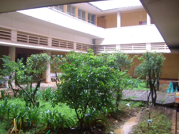 TC11