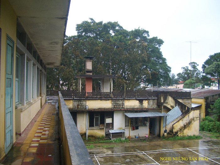 TC13
